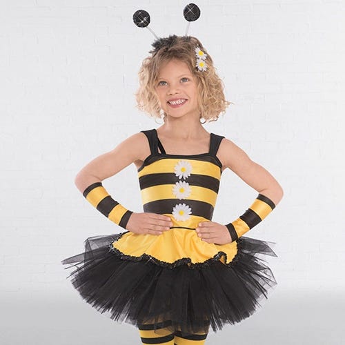 Animales e Insectos